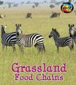 Grassland Food Chains (Food Chains and Webs)