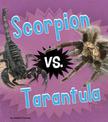 Scorpion vs. Tarantula (Animal Rivals)