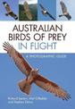 Australian Birds of Prey in Flight: A Photographic Guide