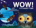 WOW! It's Night-time: A First Book of Animals