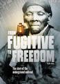 From Fugitive to Freedom: The Story of the Underground Railroad: The Story of the Underground Railroad