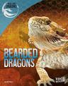 Bearded Dragons (Real-Life Dragons)