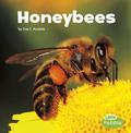 Honeybees (Little Critters)
