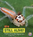 its Still Alive!: Magical Animals That Regrow Parts (Magical Animals)
