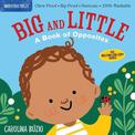 Indestructibles: Big and Little: A Book of Opposites: Chew Proof * Rip Proof * Nontoxic * 100% Washable (Book for Babies, Newbor