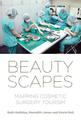 Beautyscapes: Mapping Cosmetic Surgery Tourism