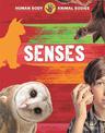 Human Body, Animal Bodies: Senses
