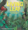 Plant Life: Living Leaf: The Story of How Plants Grow and Survive