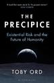 The Precipice: 'A book that seems made for the present moment' New Yorker
