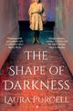 The Shape of Darkness: 'A future gothic classic' Martyn Waites