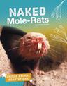 Naked Mole-Rats (Unique Animal Adaptations)