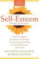 Self-esteem: A Proven Program of Cognitive Techniques for Assessing, Improving and Maintaining Your Self-esteem