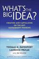 What's the Big Idea: Creating and Capitalizing on the Best Management Thinking
