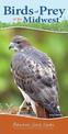 Birds of Prey of the Midwest: Your Way to Easily Identify Raptors