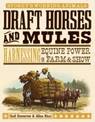 Draft Horses & Mules: Harnessing Equine Power