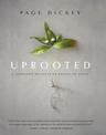 Uprooted: A Gardener Reflects on Beginning Again