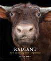 Radiant: Farm Animals Up Close and Personal