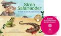 Siren Salamander: What is an Amphibian? (Animal World: Animal Kingdom Boogie)