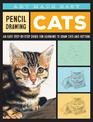 Pencil Drawing: Cats: An easy step-by-step guide for learning to draw cats and kittens
