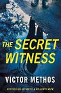 The Secret Witness (Large Print)