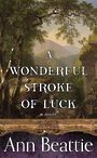 A Wonderful Stroke of Luck (Large Print)