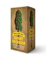 The Grow Your Own Giant Sequoia Kit: Plant the Biggest Tree in the World in Your Very Own Backyard!
