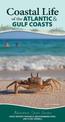 Coastal Life of the Atlantic and Gulf Coasts: Easily Identify Seashells, Beachcoming Finds, and Iconic Animals