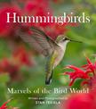 Hummingbirds: Marvels of the Bird World