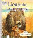 Lion in the Long Grass
