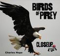 Birds of Prey CloseUp