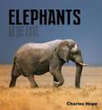 Elephants: On the Edge
