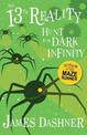 Hunt for Dark Infinity (the 13th Reality #2)
