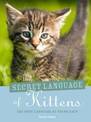 The Secret Language of Kittens: The Body Language of Little Cats
