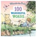 100 Wonderful Words: 100 Wonderful Words
