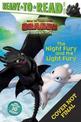 How to Train Your Dragon: the Hidden World: the Night Fury and the Light Fury Reader (Level 2)