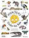Wonders Under the Sun: A Collection of Daytime Creatures