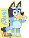 Bluey: All About Bluey: A Shaped Board Book