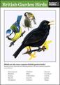 British Garden Birds: The Instant Guide