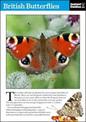 British Butterflies: The Instant Guide