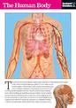 The Human Body: The Instant Guide