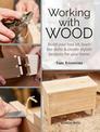 Working with Wood: Build Your Toolkit, Learn the Skills and Create Stylish Objects for Your Home