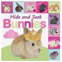 Hide and Seek Bunnies: Lift The Flap Tab