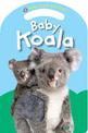 Baby Koala: Baby Touch & Feel