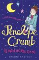 Penelope Crumb is Mad at the Moon: Book 4