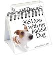 365 Days with my faithful Dog