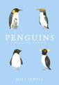 Penguins and Other Sea Birds
