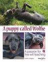 A puppy called Wolfie: A passion for free will teaching