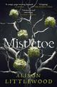 Mistletoe: 'The perfect read for frosty nights' HEAT