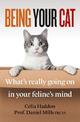 Being Your Cat: Inside Your Feline's Mind