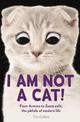 I Am Not a Cat!: From Avatars to Zoom Calls, the Pitfalls of Modern Life